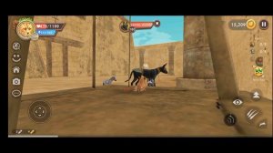 способ быстрой прокачки👅👀/баг на Анубиса ✨/WildCraft🐺?