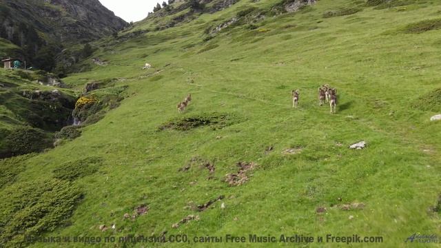 Это видео изменит ваш день! - Bed2 -- Ketsa -- Bedding