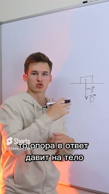 Что такое Сила Реакции опоры. Физика ЕГЭ 2024. Динамика. смотреть онлайн