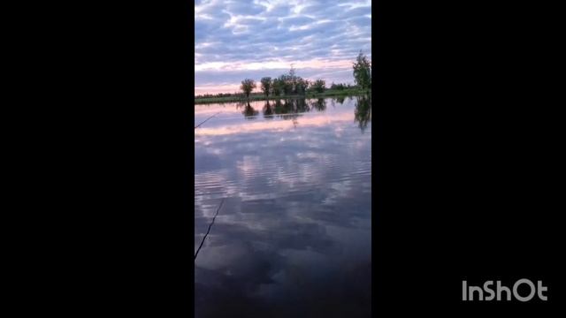 поплавок карась рыбалка
