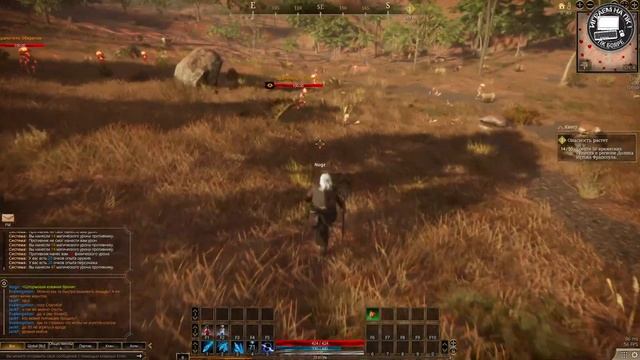 The Quinfall ЗБТ ч3 за Мага смотреть онлайн