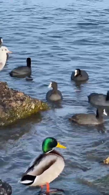 Феодосия 2022 смотреть онлайн