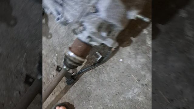 T31 смотреть онлайн