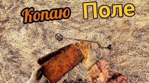 Копаю металл на старом поле, сигналы глубокие! коп металлолома