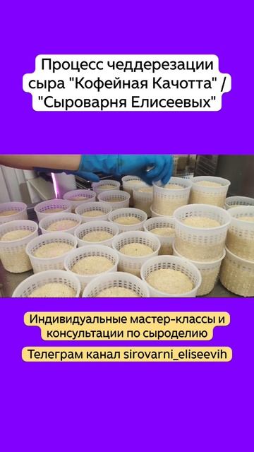 Процесс чеддерезации сыра "Кофейная Качотта" / "Сыроварня Елисеевых" смотреть онлайн