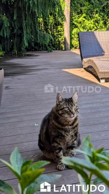 Easy Decking Wood-X — ДПК, в который легко влюбиться с первого взгляда 🤍 смотреть онлайн