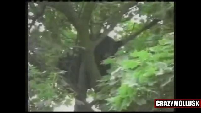 Лучшие приколы 2014 #79 - Неудачные прыжки на батуте / спор