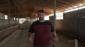 Обзор цвартблес