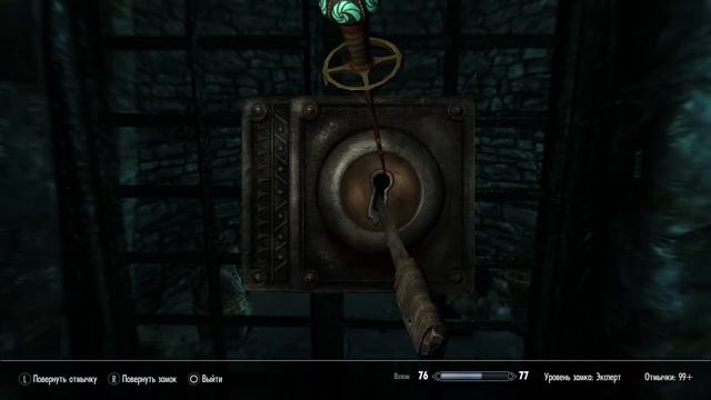 Skyrim. Черный брод. Редкий компаньон