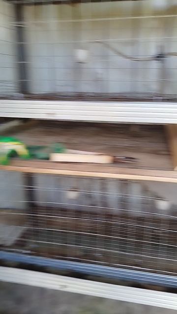 Хобби номер два выращивание бройлеров, на этот год переделал клетки и бурдер.