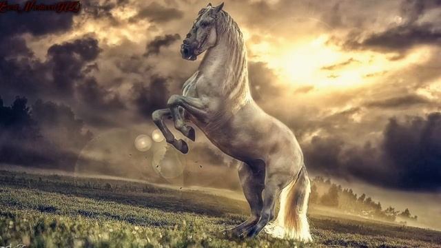 Самый Красивый Нашид ⚘️ 💚💚🌺 смотреть онлайн