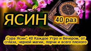 Сура Ясин, سورة يس утром и вечером для тех, у кого есть проблемы и беды, ин ша Аллах !! (360p)