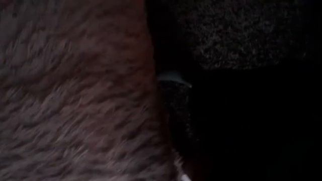 повторный обзор раций марки Baofeng