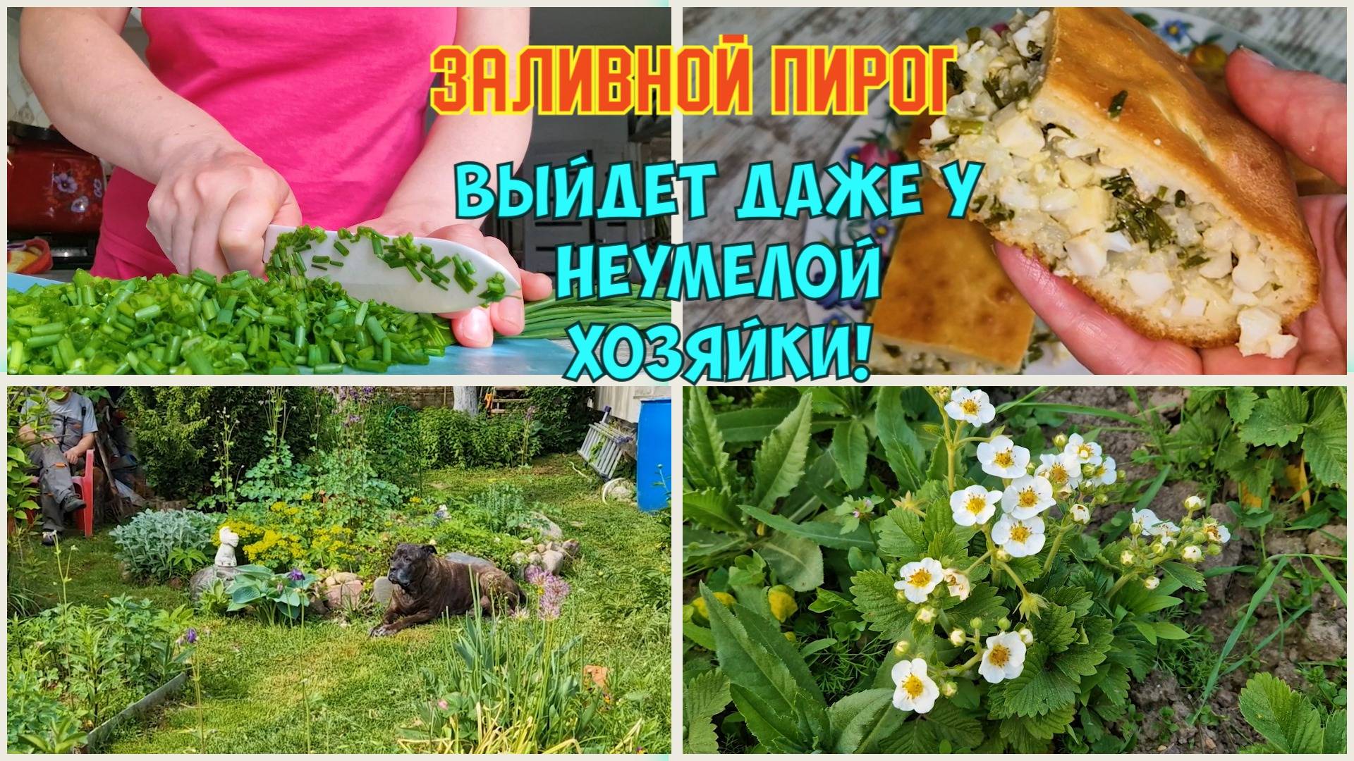 Всё нарушаем, нельзя работать. Огород как есть. Пеку самый простой пирог с луком, рисом и яйцами смотреть онлайн