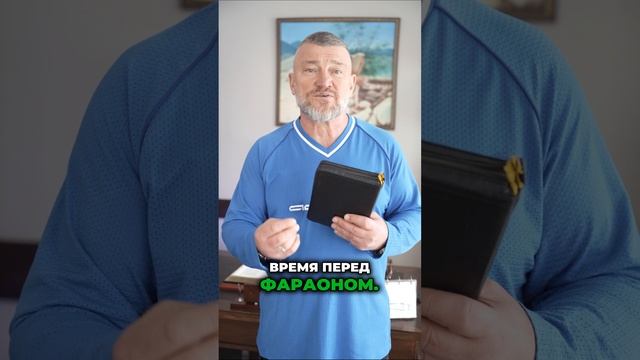 Виночерпий фараона смотреть онлайн