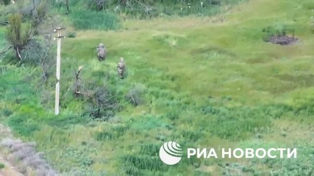 ВС РФ уничтожили группу украинских ГУРовцев в Запорожской области смотреть онлайн