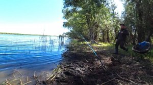 Они гнут как крокодилы! Не отпускают домой! Вот это жор! Рыбалка на донки с берега на дикой реке.