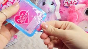 ASMR РАСПАКОВКА МИЛЕЙШИХ ЖИВЫХ ПИТОМЦЕВ  ЩЕНКИ