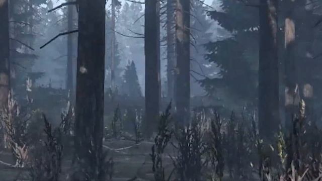 ЧЕСТНО! Я ПЫТАЛСЯ БЫТЬ ДРУЖЕЛЮБНЫМ! [dayz] смотреть онлайн