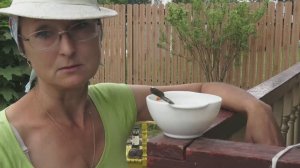 6 соток 6 июня 2025 года. 1 часть.