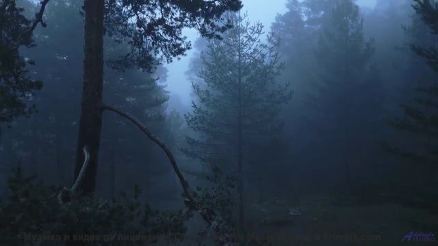 Это видео создано для жителей 3023 года - но доступно вам сейчас! - Space Orbit -- Scott Holmes Musi смотреть онлайн