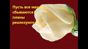 ВСЕ РОЗЫ ДЛЯ ТЕБЯ