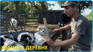 Ожидания были больше реальности но  не всё так плохо,  жизнь в деревне