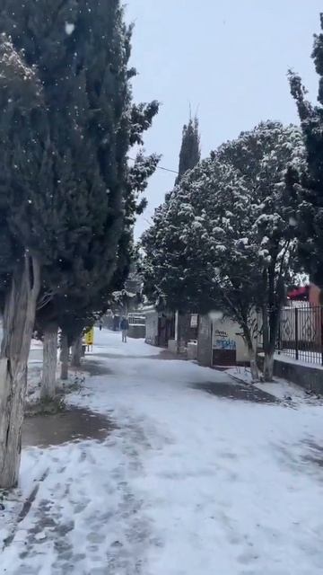 Судак 2022. Кипарисовая Аллея смотреть онлайн