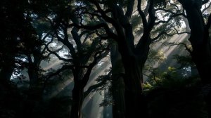 Как Славянские Боги Управляли Природой?