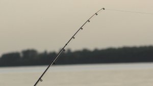 Рыбалка 2025 С НОЧЕВКОЙ на ФИДЕР. ПОКЛЕВКИ РЫБЫ КРУПНЫМ ПЛАНОМ! Ловля на Донки на реке Волга.