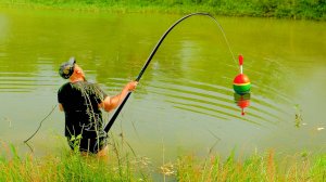 Дикий сазан потащил поплавок на дно! Удочка в воду - я за ней! Рыбалка на поплавок!