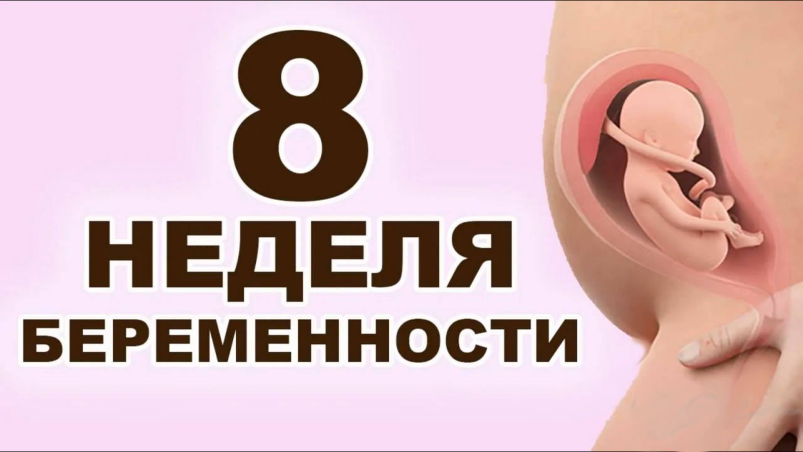 Что происходит с мамой и ребёнком на 8 неделе беременности? 2 месяц беременности. Первый триместр смотреть онлайн
