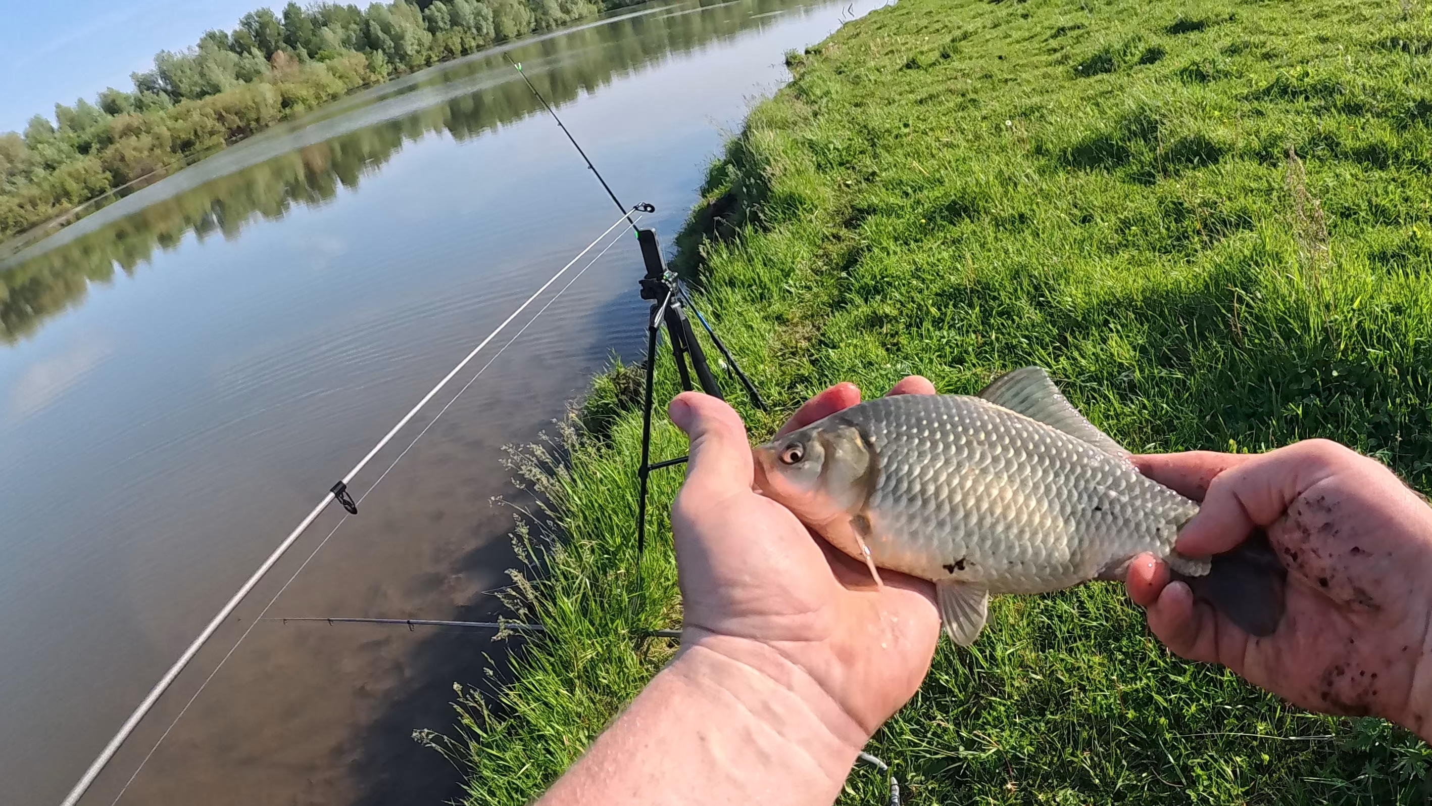 За карасем по озерам. Рыбалка в отпуске. смотреть онлайн