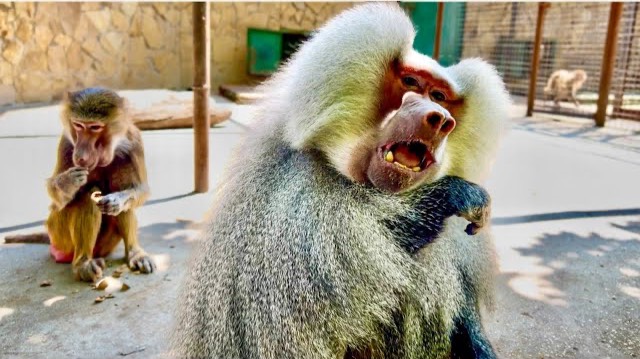 Елисей принялся за старое ВСЕ ЛУЧШЕЕ ЕМУ, а все потому что у Лиды снова ЗАЦВЕЛА РОЗА... смотреть онлайн