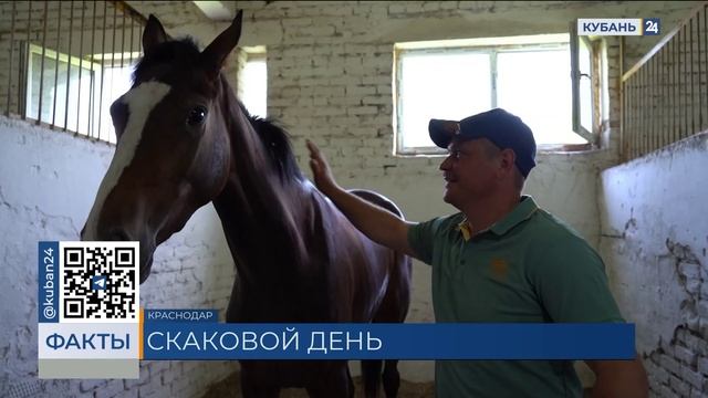 Скачки чистокровных лошадей прошли на Краснодарском ипподроме смотреть онлайн