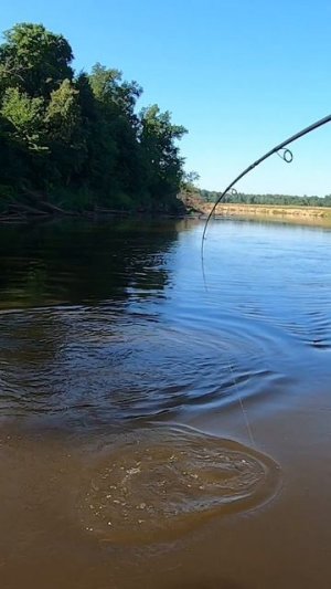 БЫВАЕТ ЛОВИШЬ судака, А ПОТОМ БАХ!!! Рыбалка на спиннинг