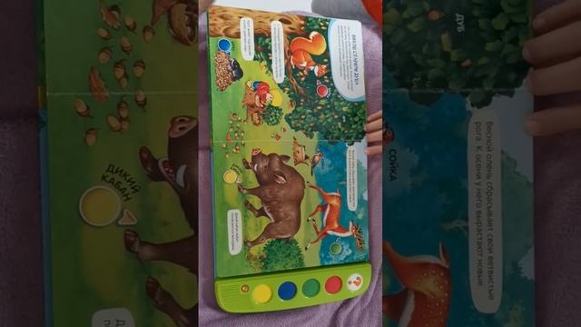 музыкальный планшет лесные жители