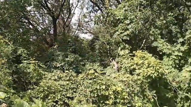2358209.1 смотреть онлайн