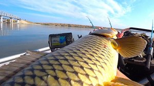 ОНИ ВЫДЁРГИВАЮТ УДОЧКИ ИЗ ЛОДКИ!! ФРИКЦИОН ТРЕЩИТ!! РЫБАЛКА НА ДИКОГО САЗАНА