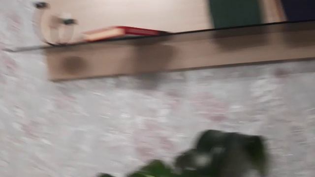 Заселились.В селе Михайловское.🏠