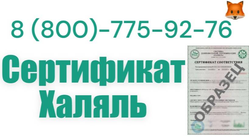 Получить сертификат Халяль смотреть онлайн