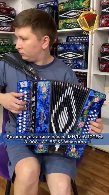 Самая доступная МИДИ гармонь в мире! #гармонь #мидигармонь #гармошка #купитьгармонь смотреть онлайн
