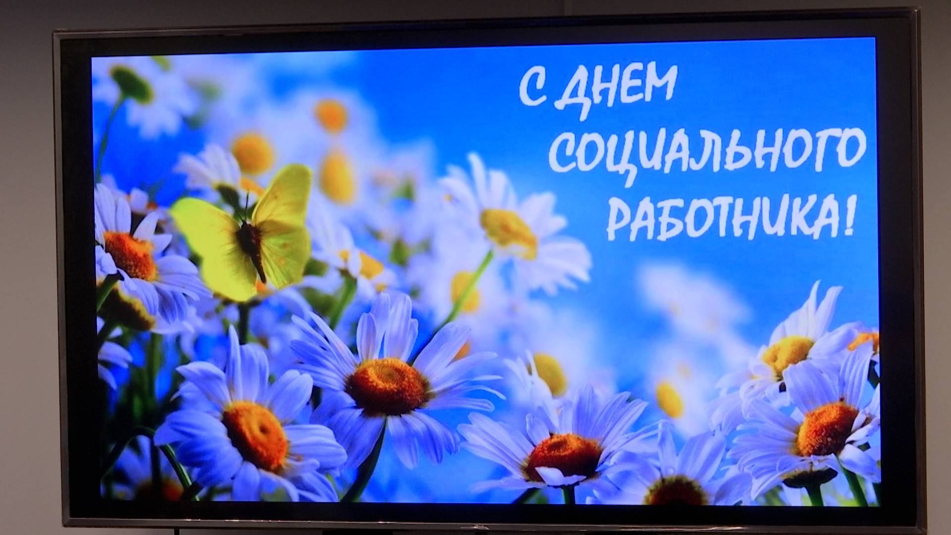 День социального работника смотреть онлайн