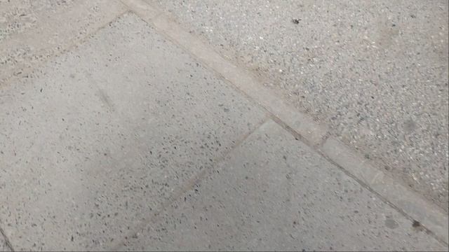 6 июня 2025 г. Автобус 96 маршрут МАЗ-203.947 38033 Железнодорожная станция Обухово смотреть онлайн