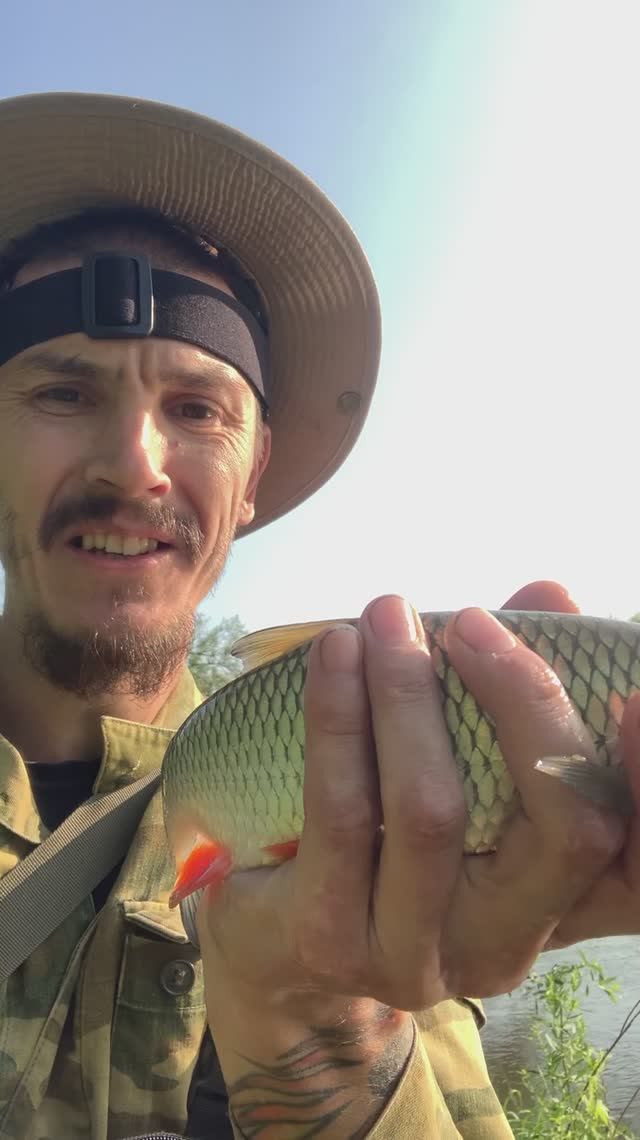 Долбанул Голавль, Щука красотка. Маки прекрасны