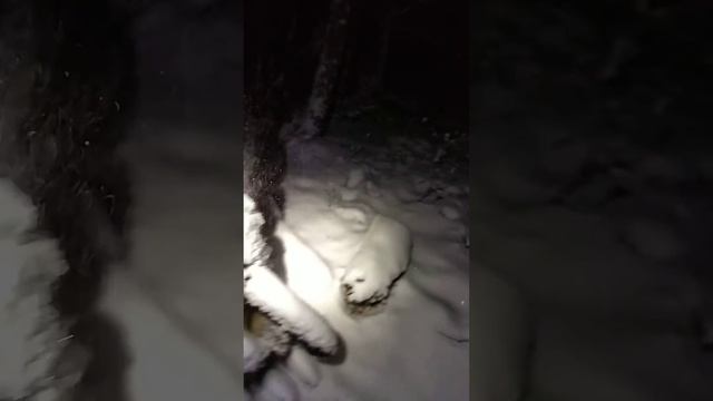 Впервые такой номер, красивый цвет