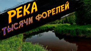 Река тысячи форелей. Ловля форели на сухую мушку