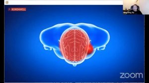 Сюй Минтан, Мантра Джуан