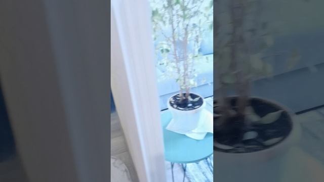 Советская дом 3 продажа