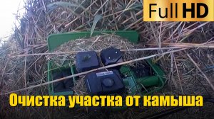 Очистка участка от камыша